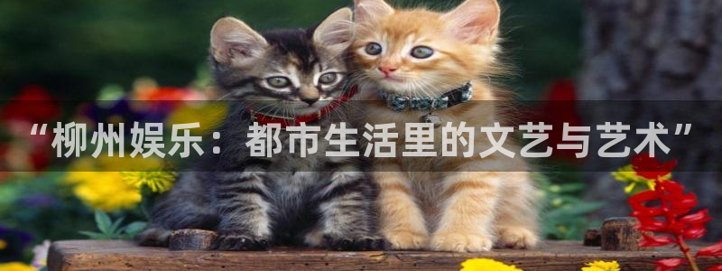 upload/20250701114914.jpg