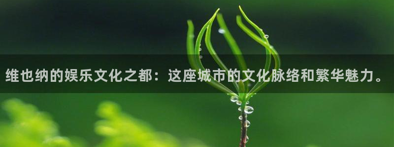 高德娱乐：维也纳的娱乐文化之都：这座城市的文化脉络和繁华魅力。